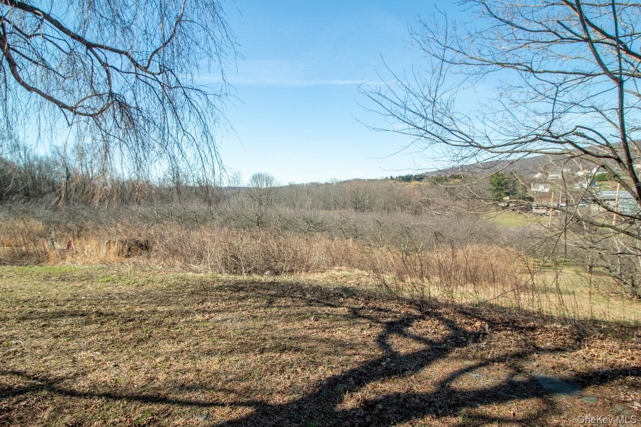 223 Plattekill Road thumbnail 5