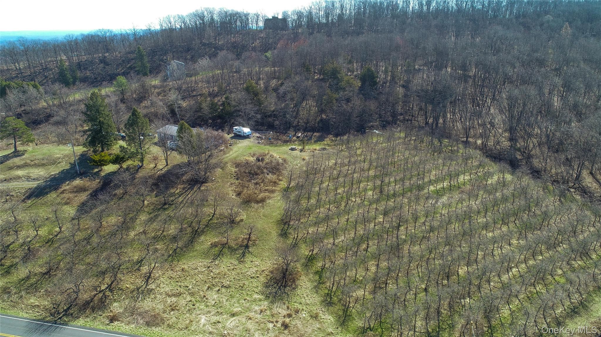 223 Plattekill Road thumbnail 38