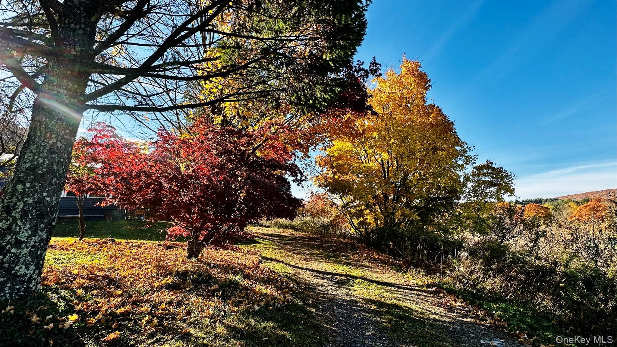 223 Plattekill Road thumbnail 25
