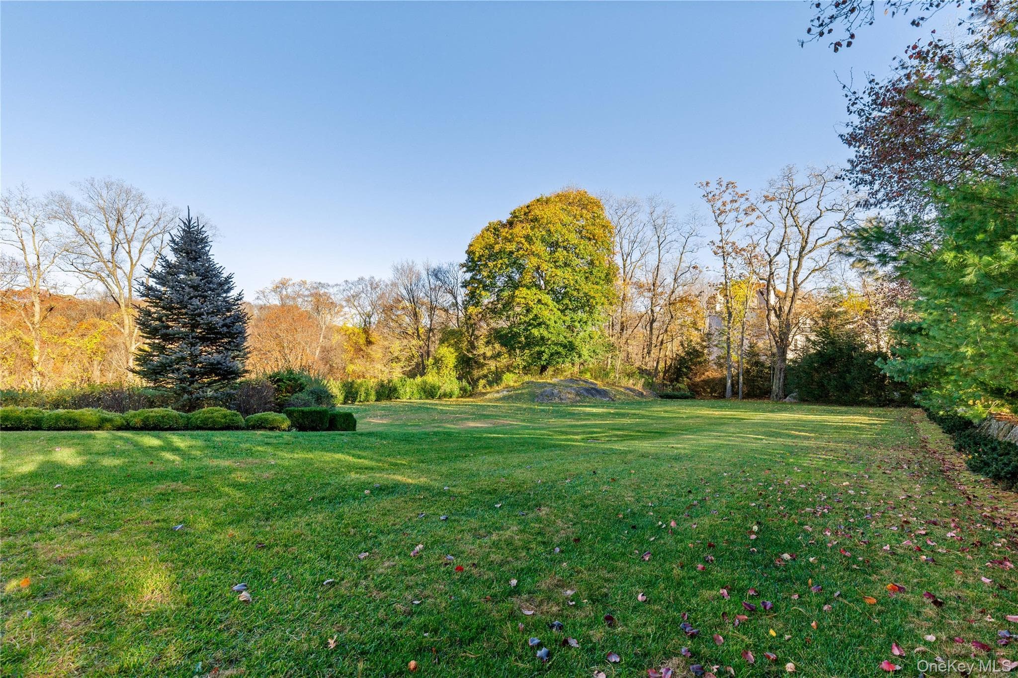 15 Knightsbridge Manor Road thumbnail 41