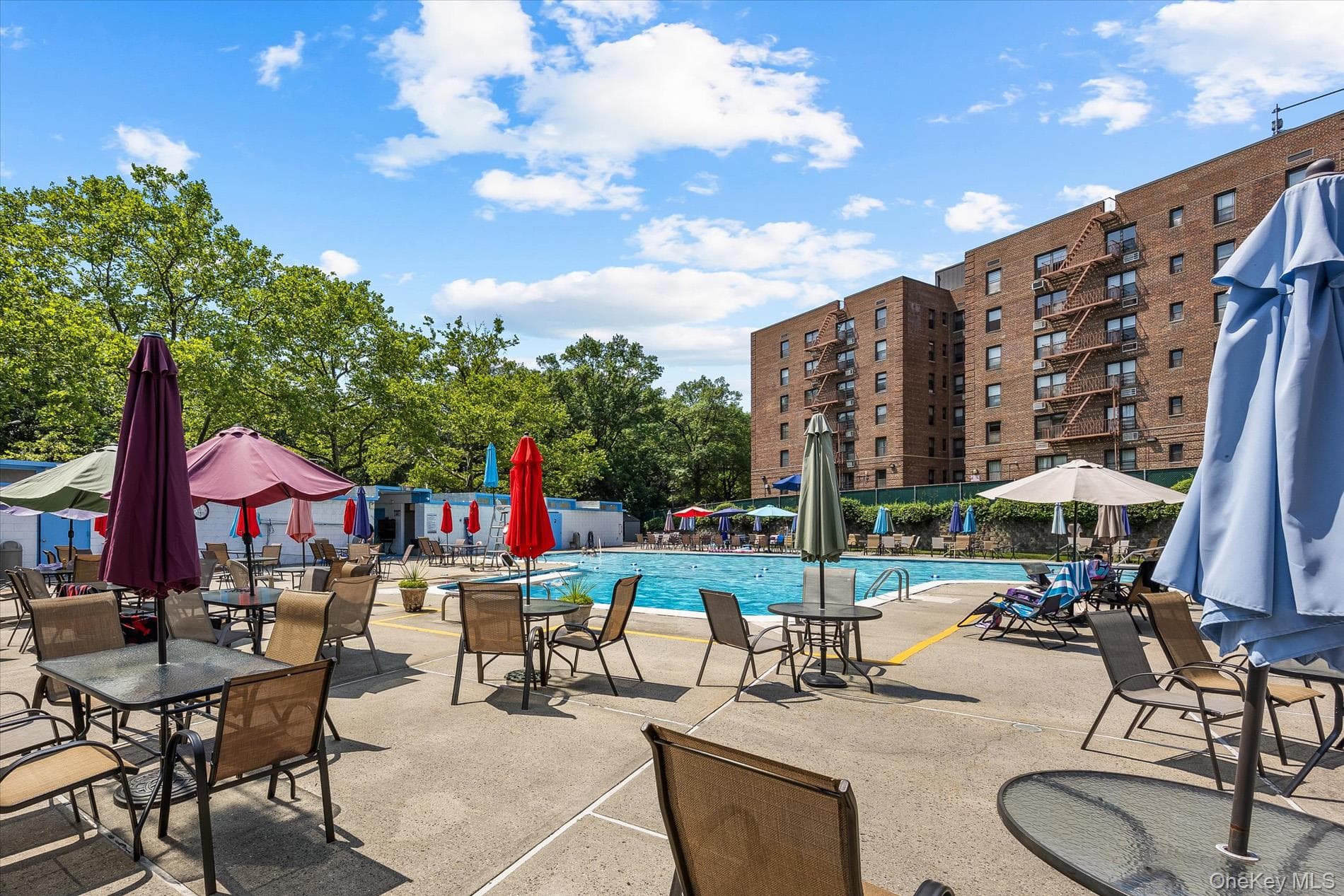 80-35 Springfield Blvd Blvd Unit: 1M thumbnail 21