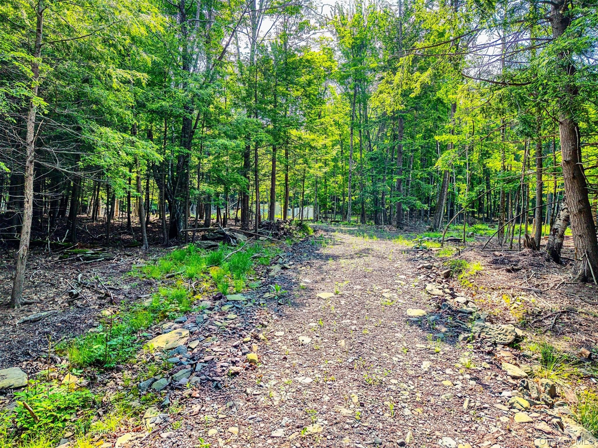 TBD Boulder Brook Lot B14 Road thumbnail 28
