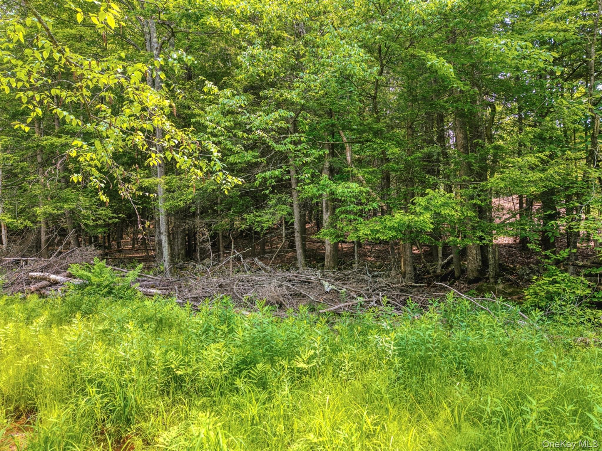 TBD Boulder Brook Lot B14 Road thumbnail 30