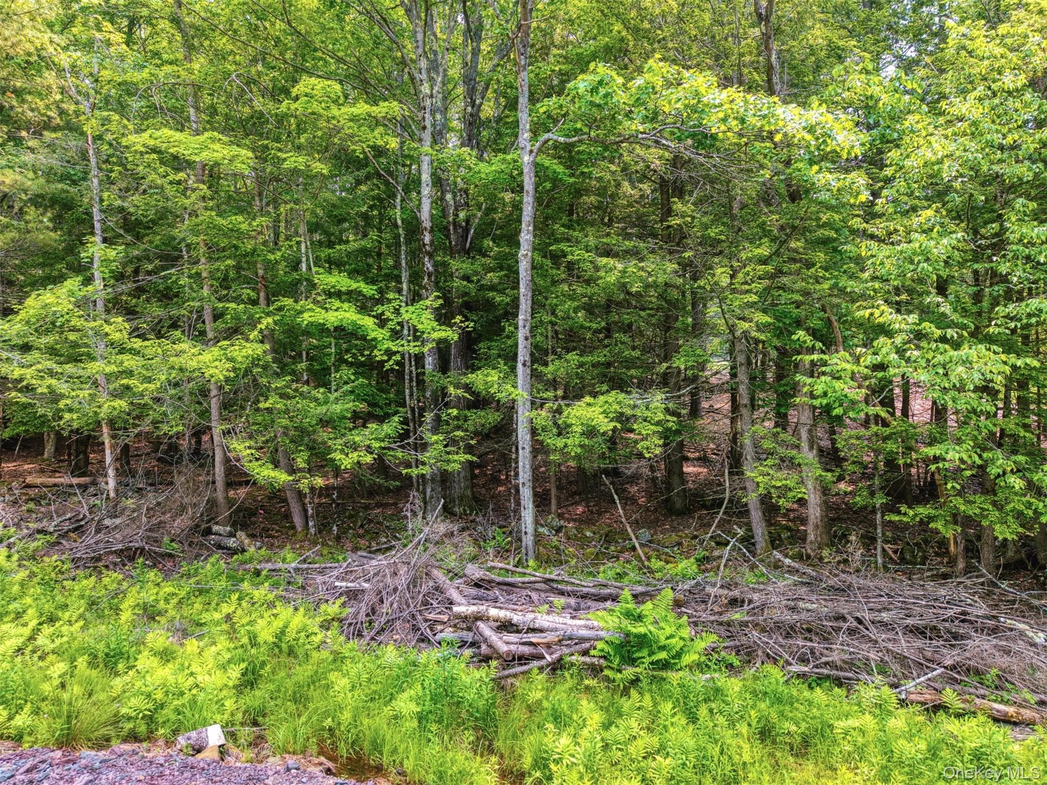 TBD Boulder Brook Lot B14 Road thumbnail 4