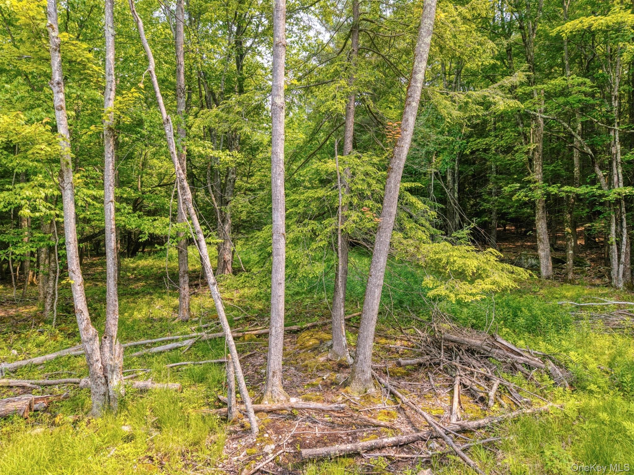 TBD Boulder Brook Lot B14 Road thumbnail 5