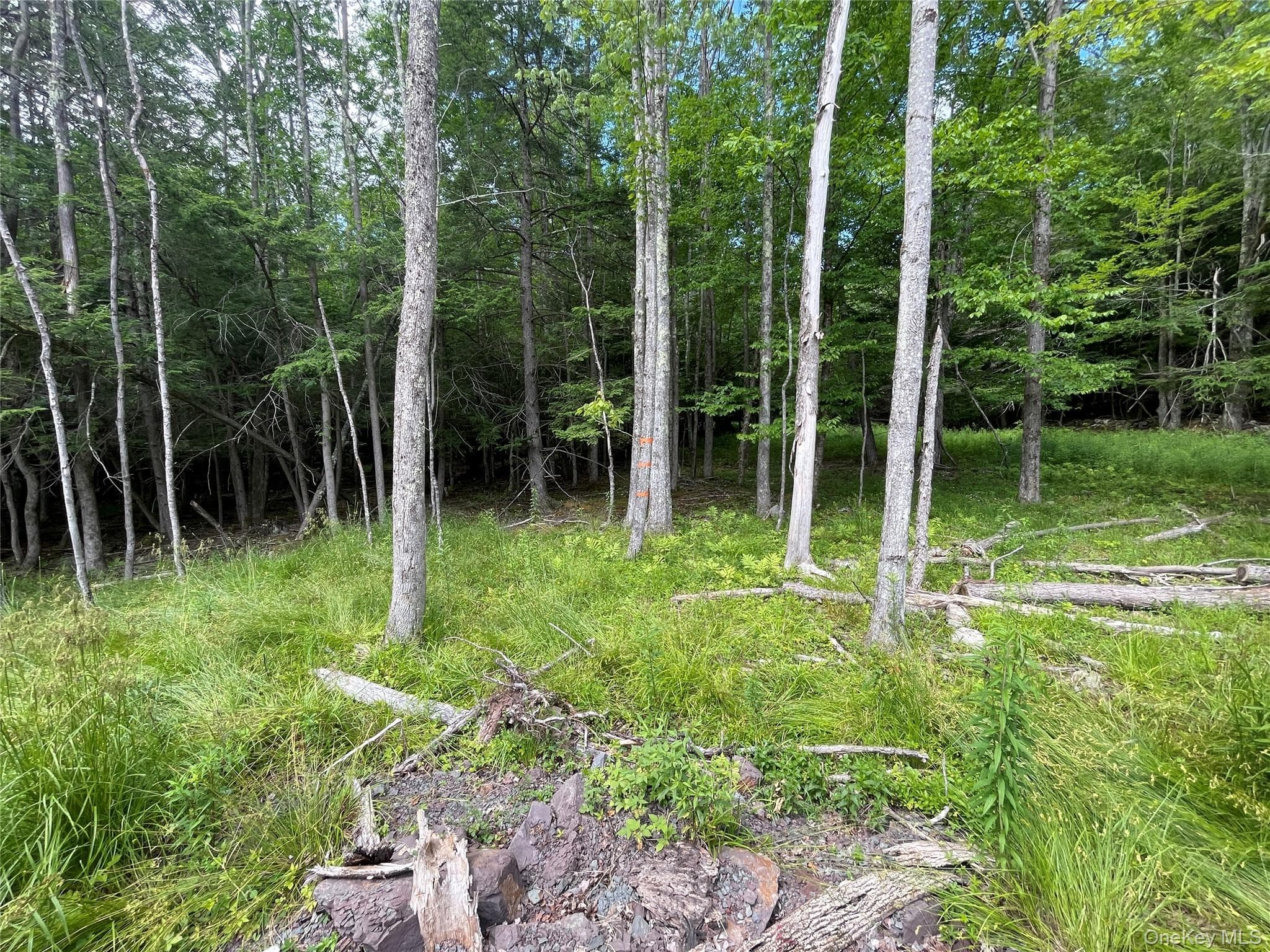 TBD Boulder Brook Lot B14 Road thumbnail 3