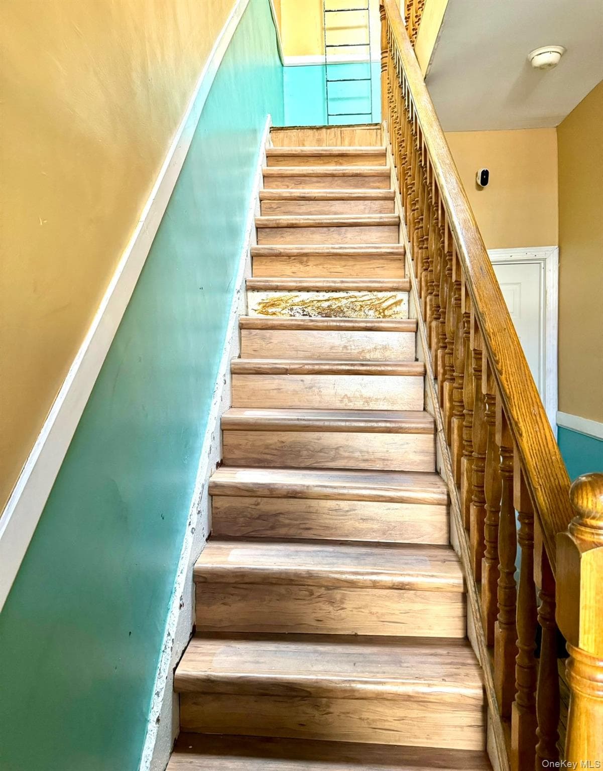 1538 Saint Marks Avenue thumbnail 13