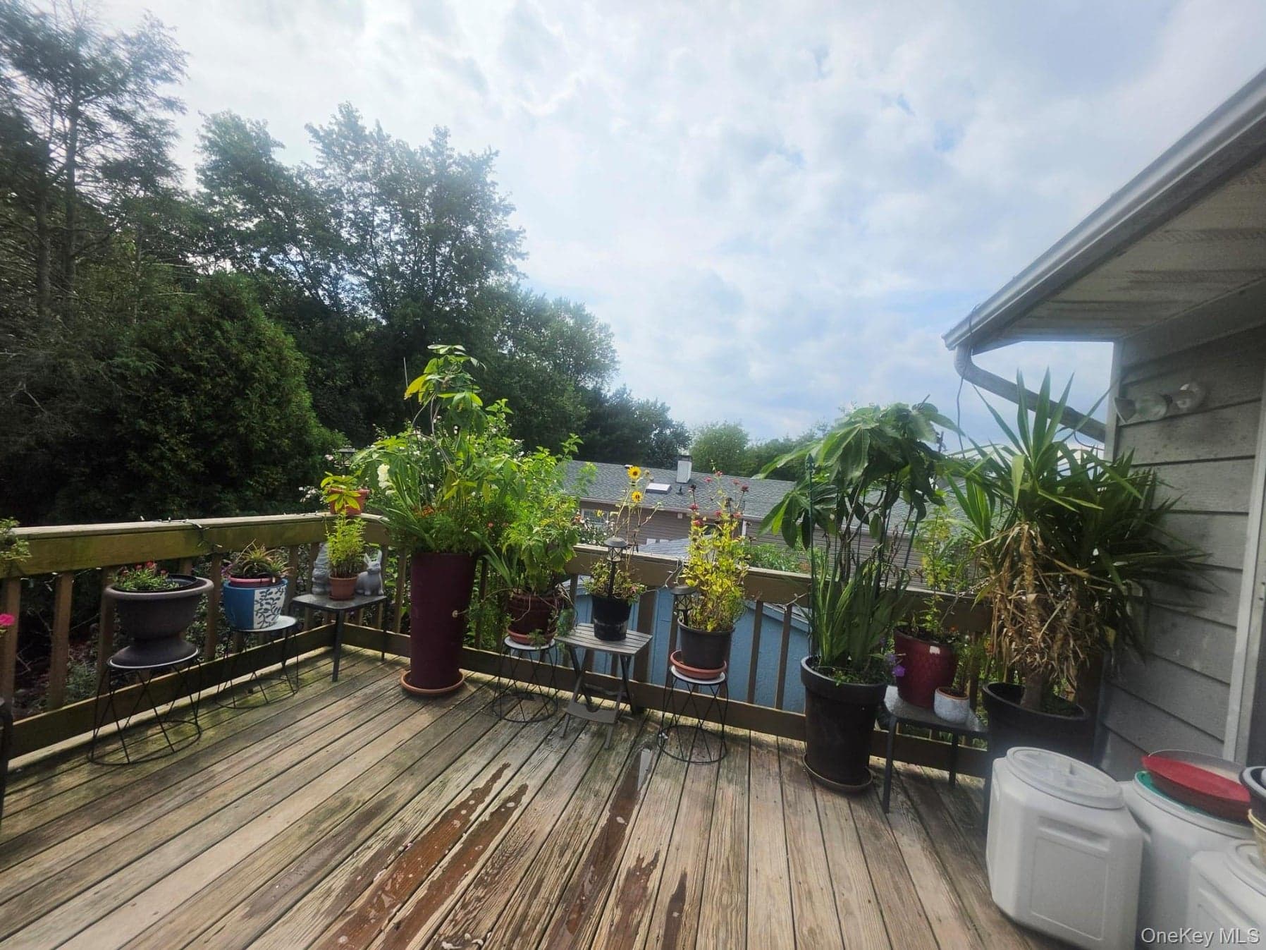 35 S Kennedy Drive thumbnail 5