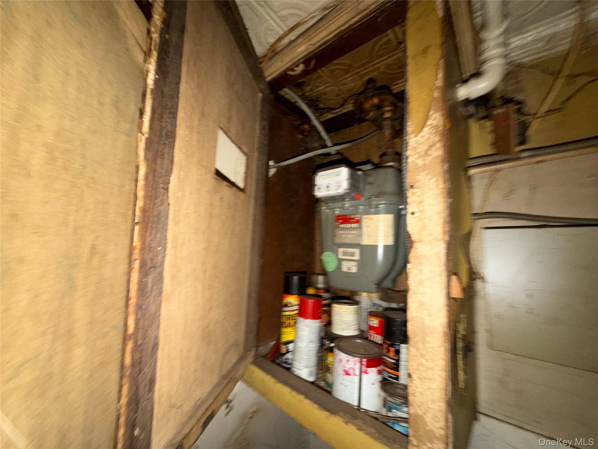 827 Pine Street thumbnail 9