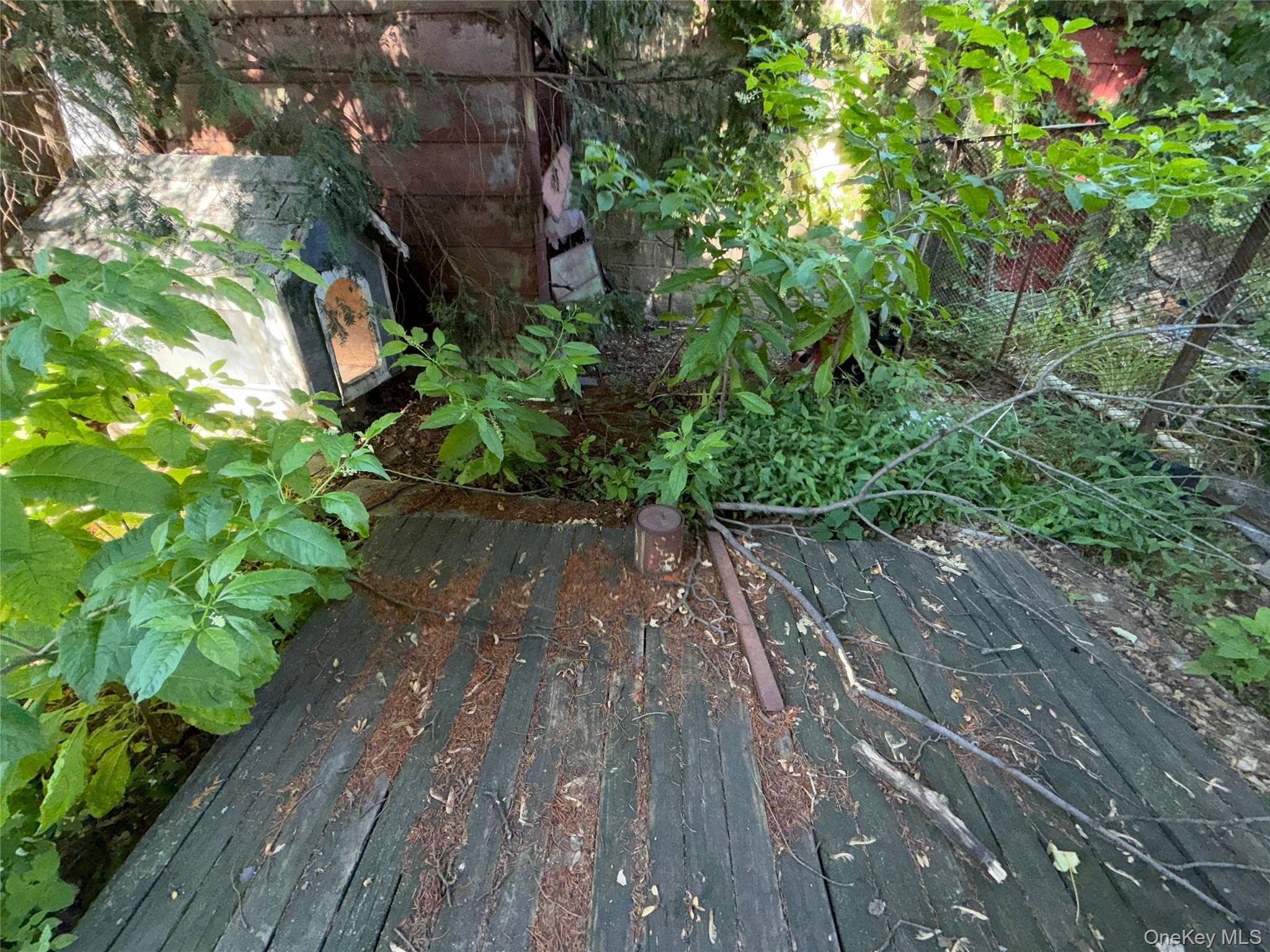 827 Pine Street thumbnail 6
