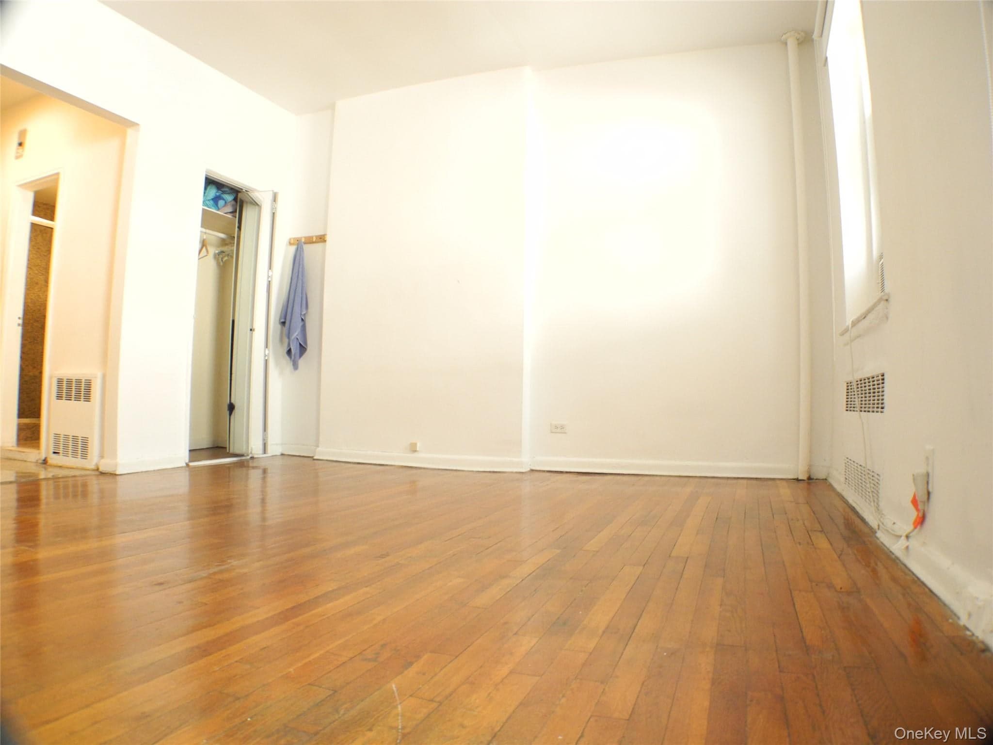 252 E 33 Street thumbnail 18