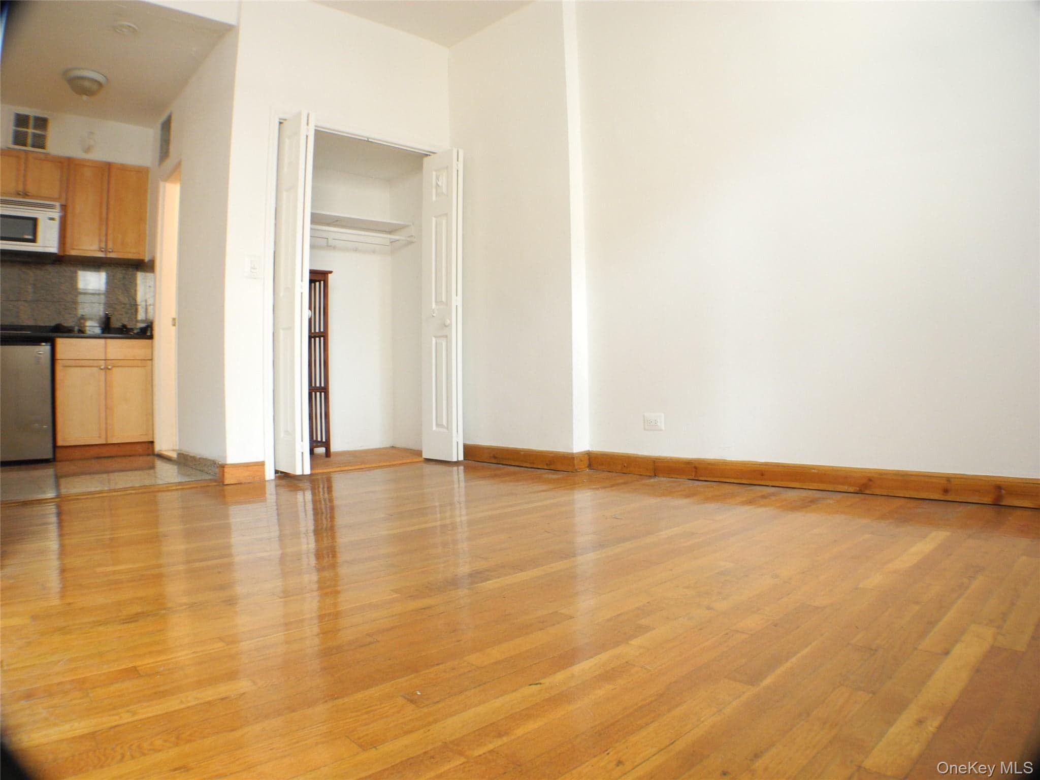 252 E 33 Street thumbnail 20