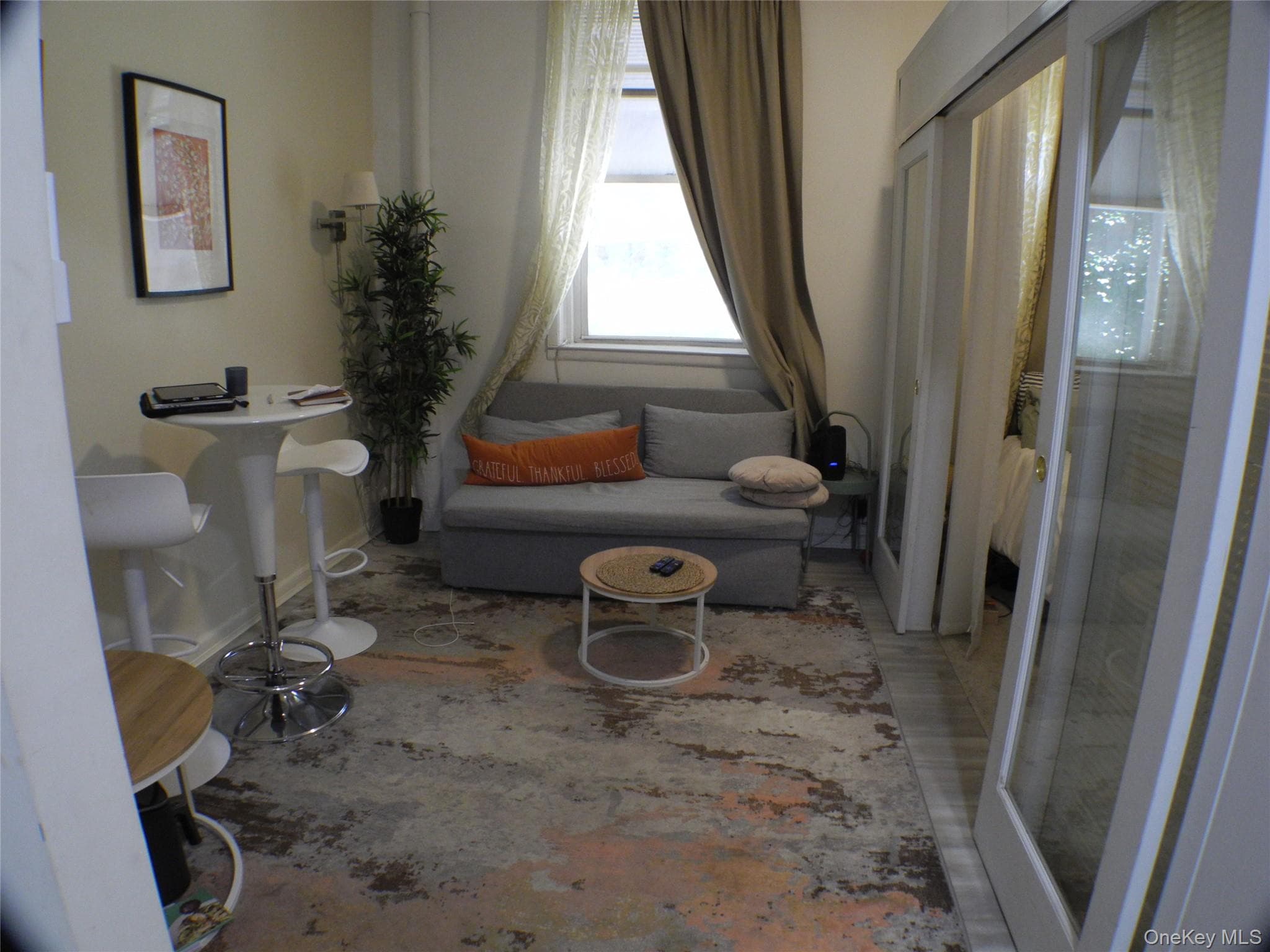 252 E 33 Street thumbnail 22