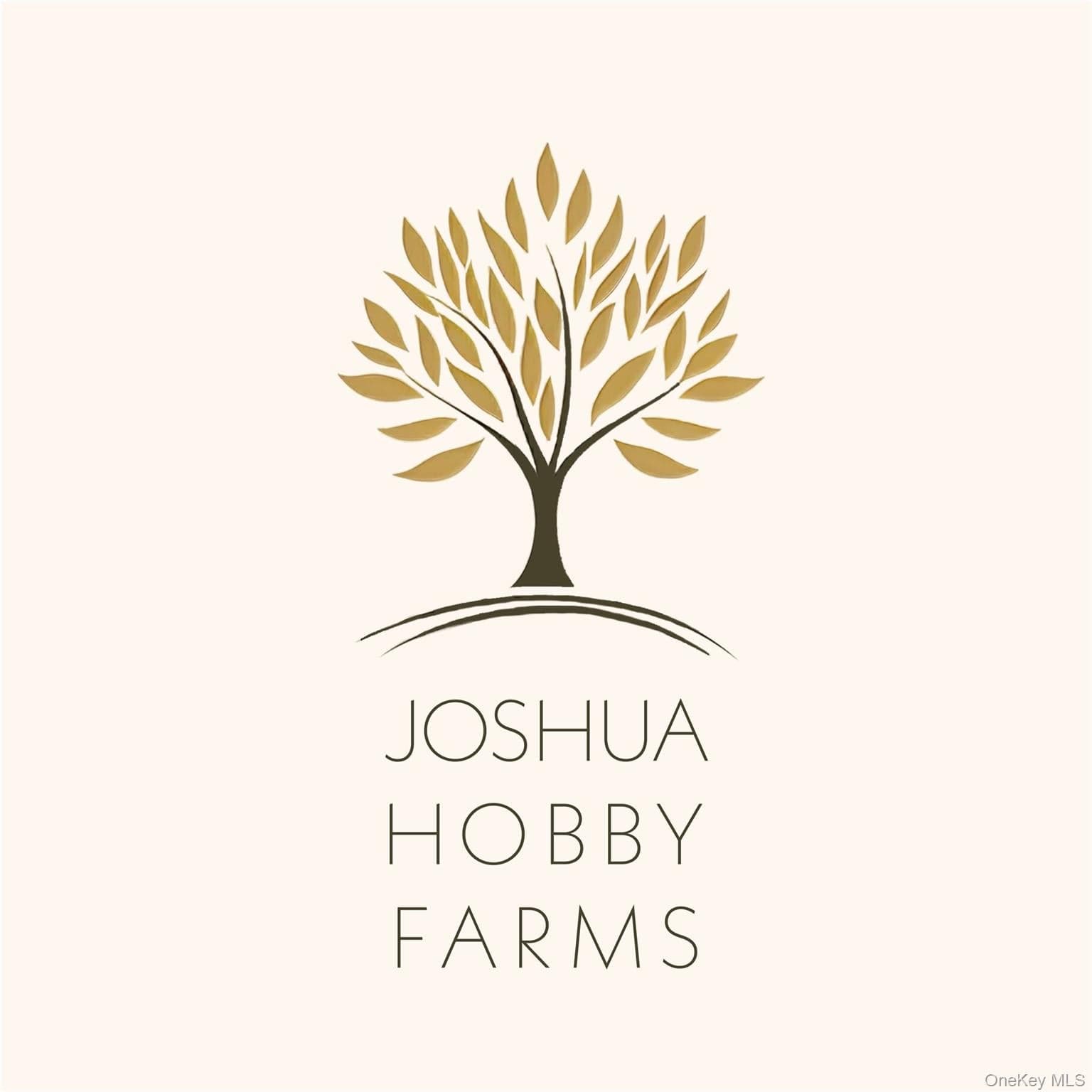 32 Joshua Hobby Lane thumbnail 3