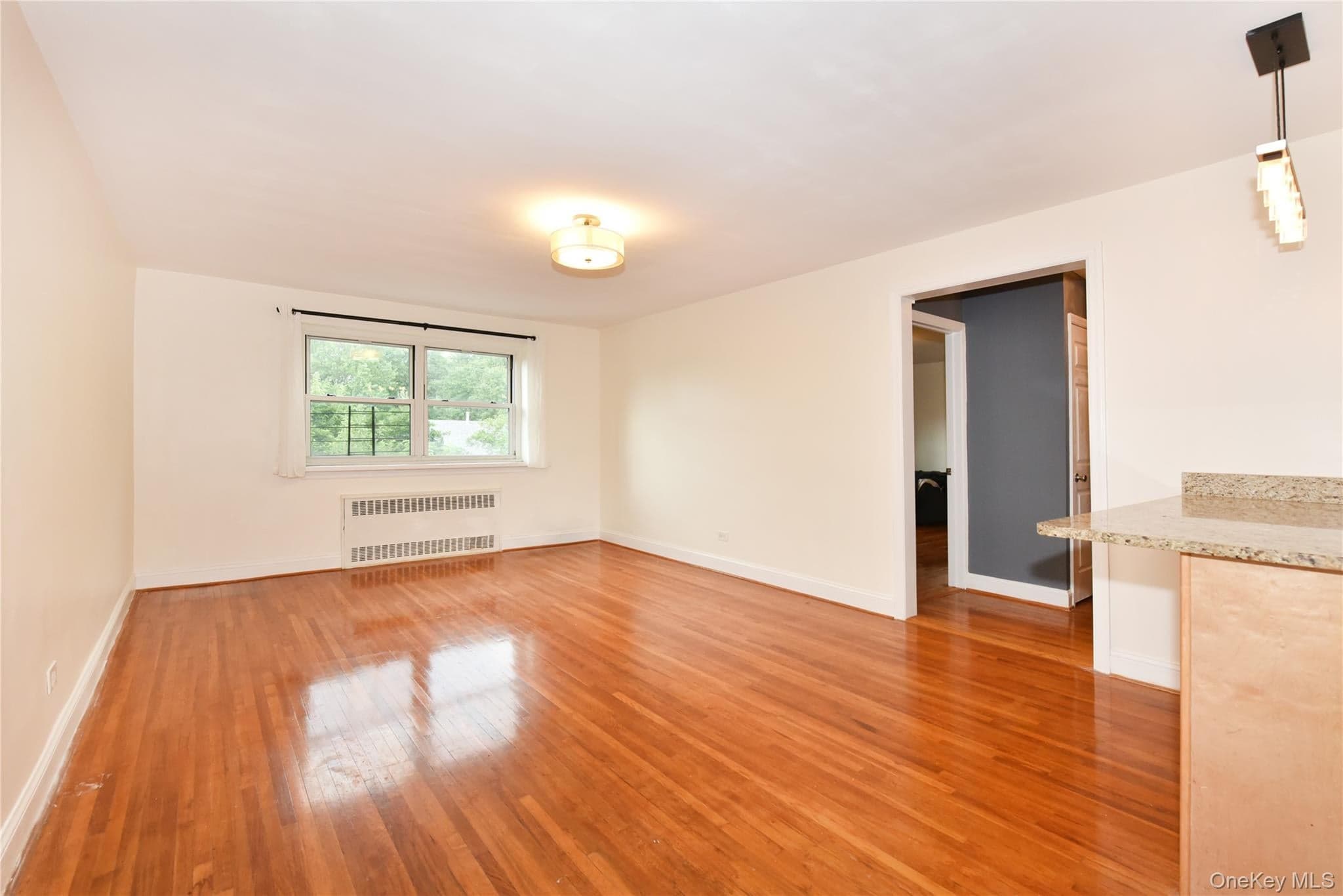 111-05 66th Avenue Unit: 2A thumbnail 4
