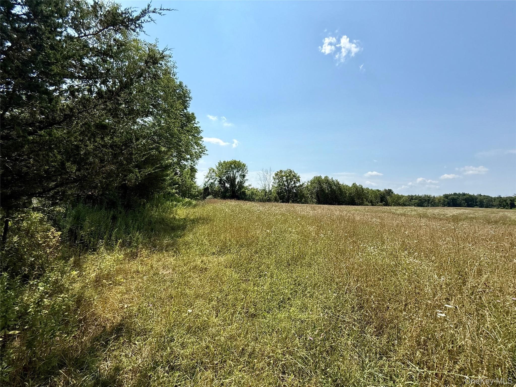 Shawangunk Road thumbnail 3