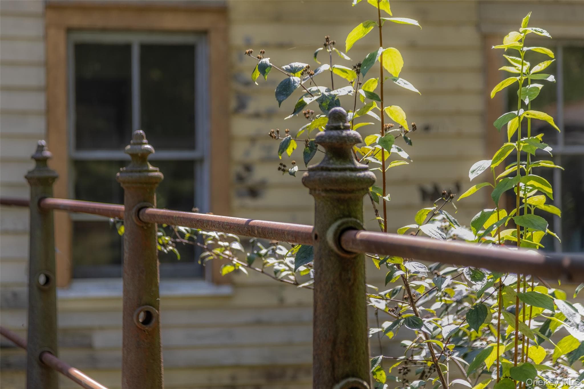 42 Oakes Road thumbnail 23
