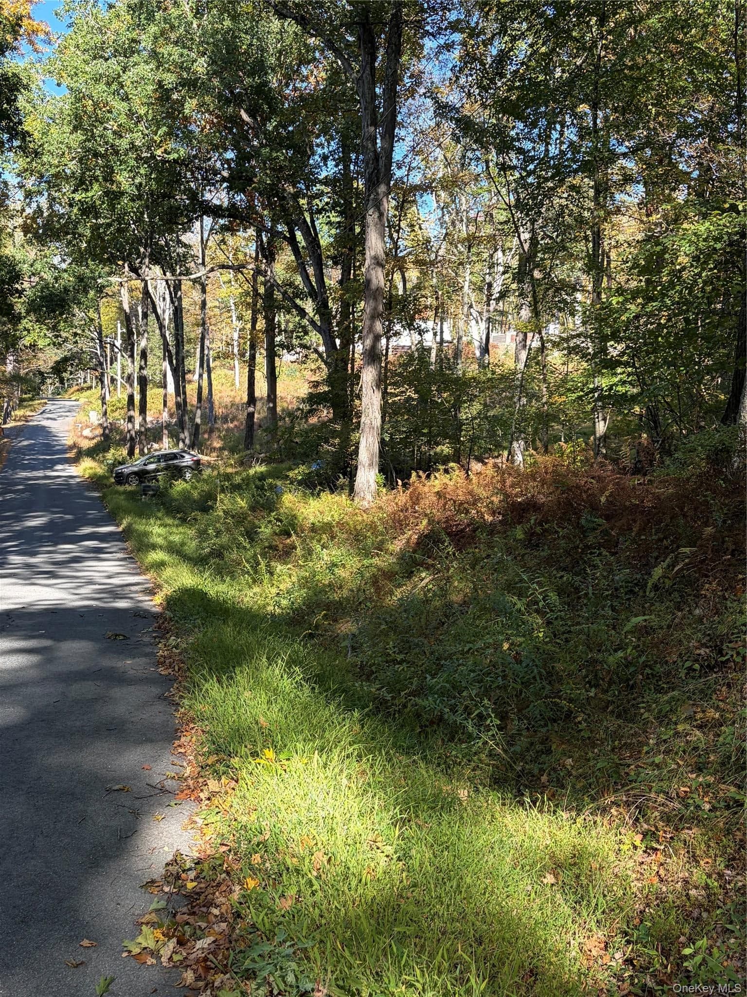 South Road thumbnail 14