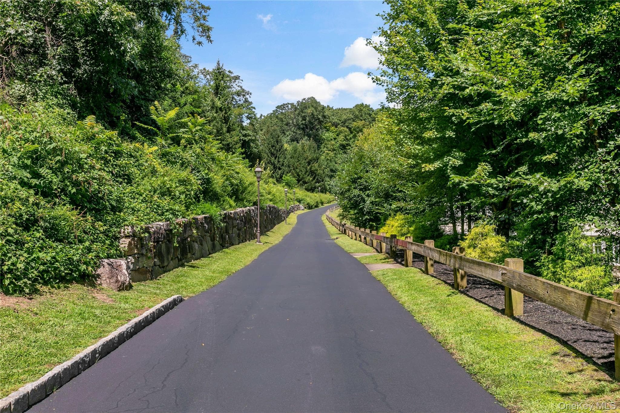 427 Trump Park thumbnail 26