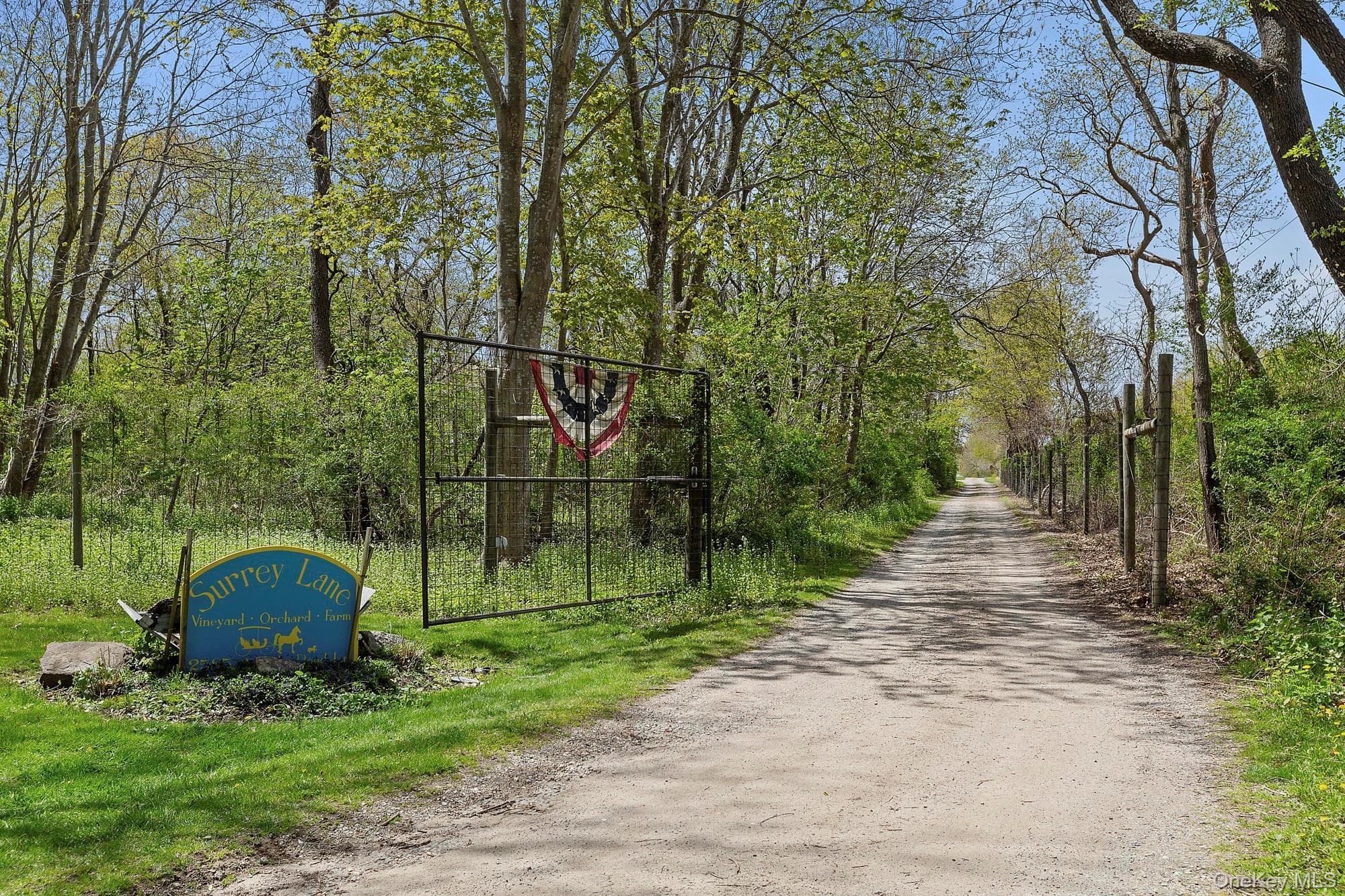 46975 Main Road thumbnail 6