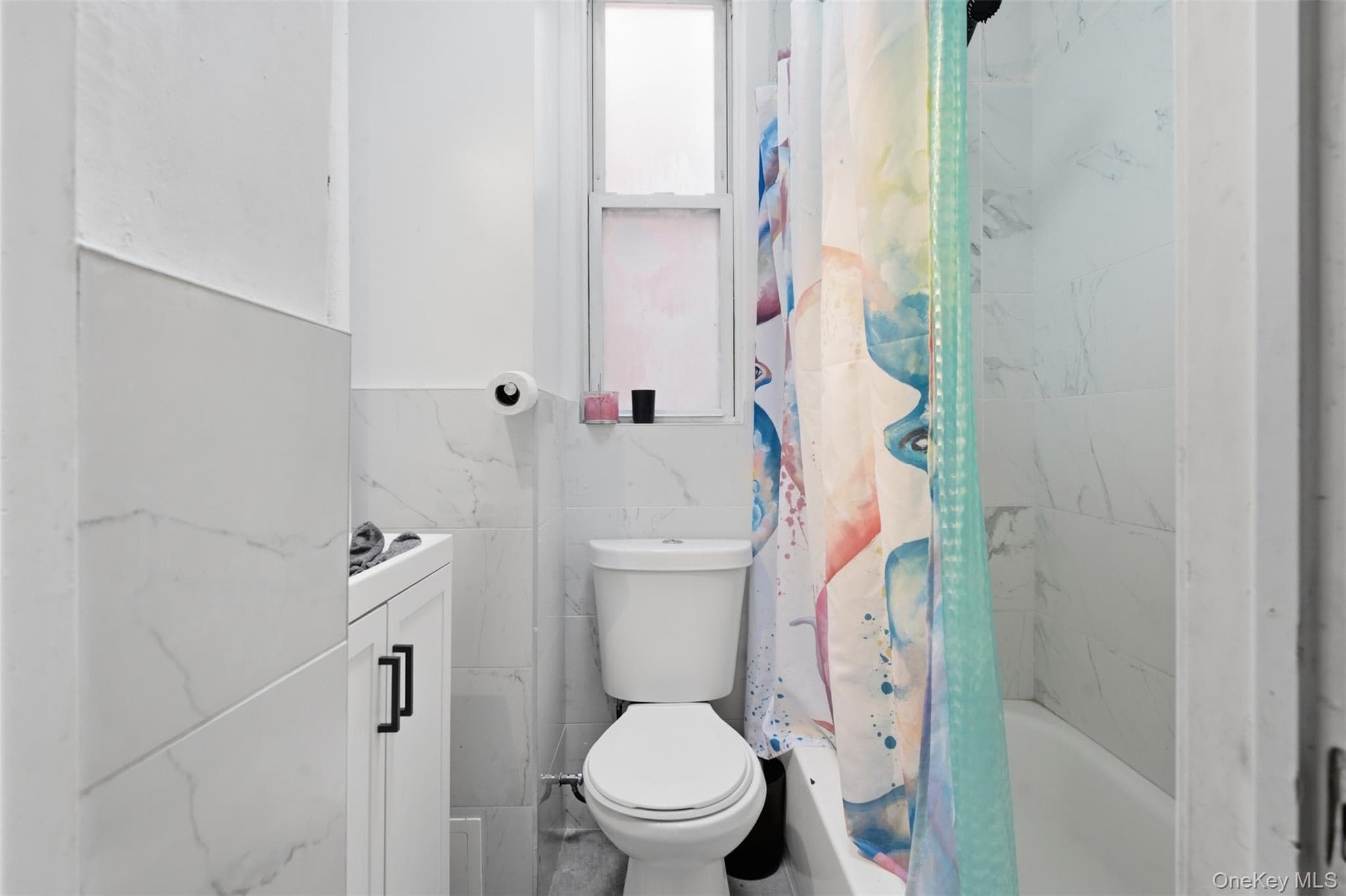 1038 E 224th Street thumbnail 9