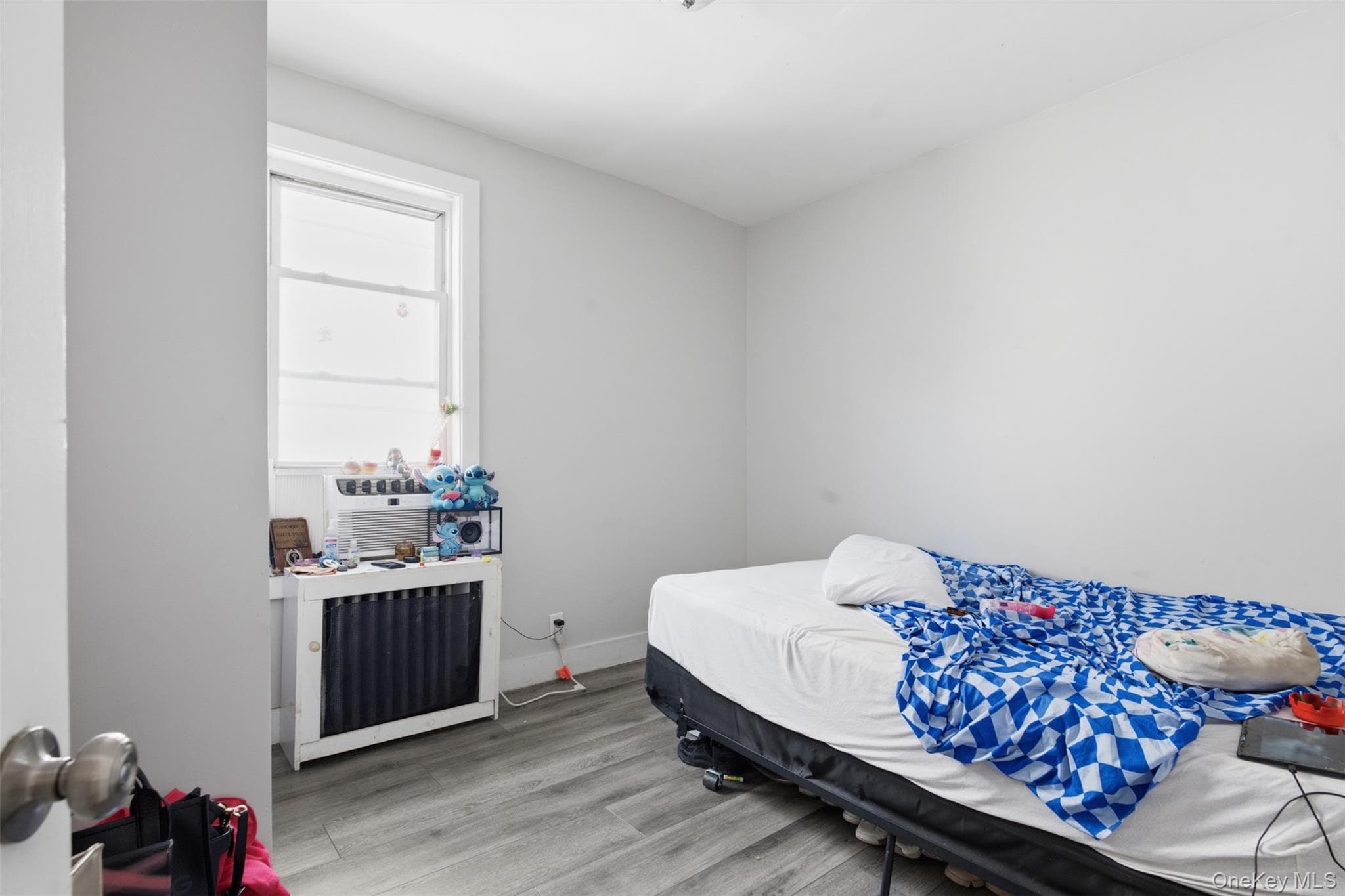 1038 E 224th Street thumbnail 8