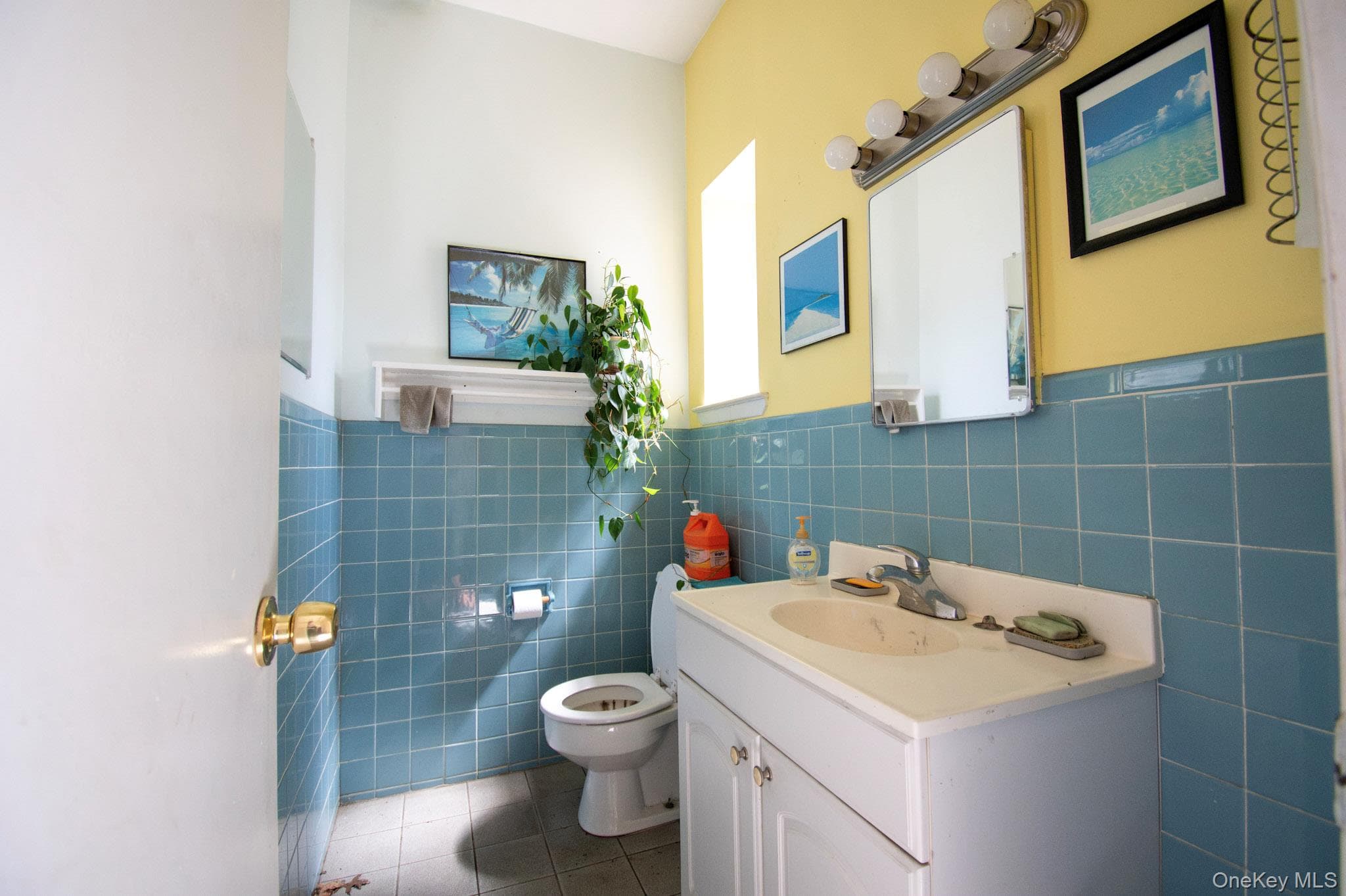 514 Merrick Road thumbnail 23