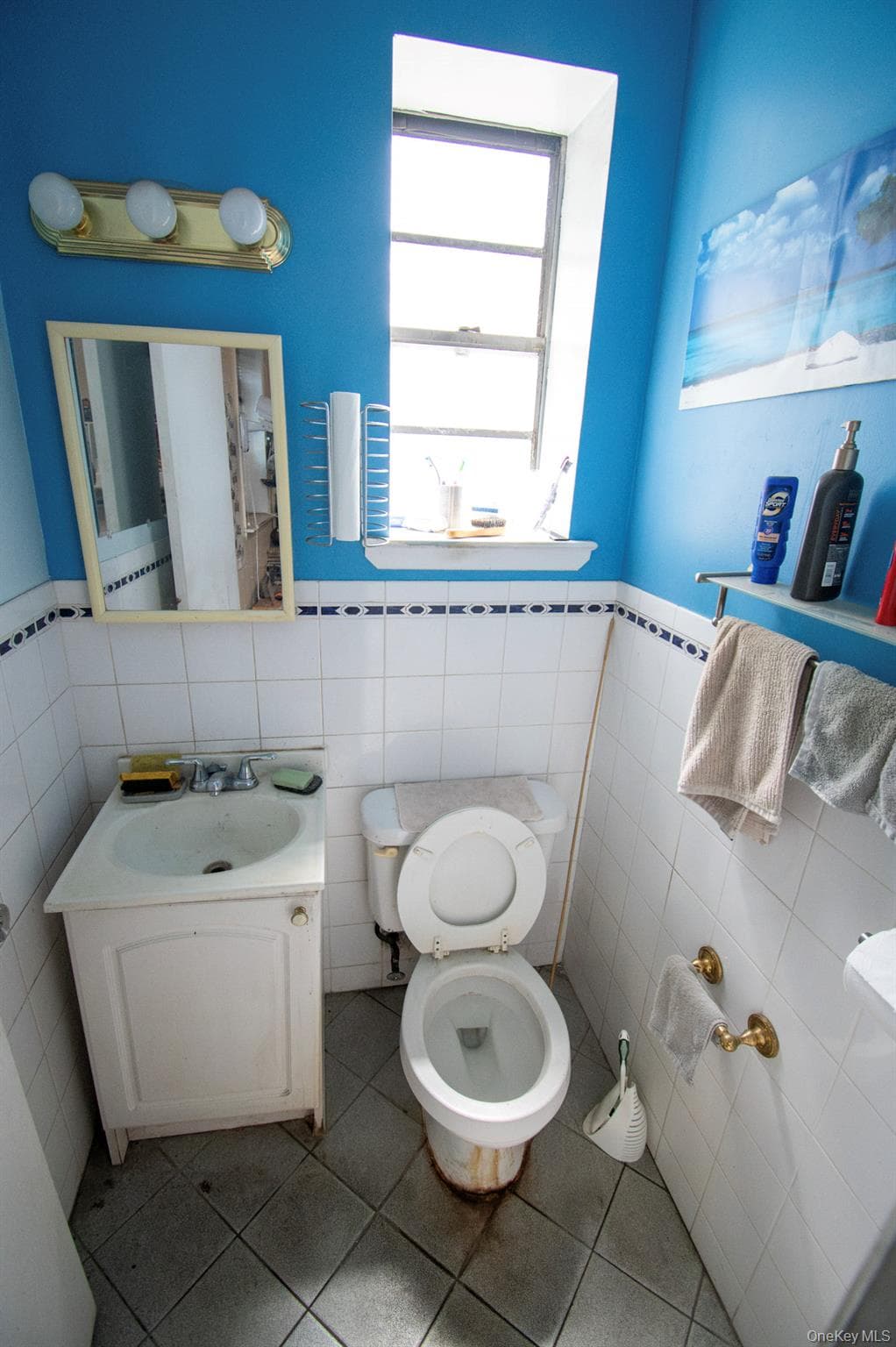 514 Merrick Road thumbnail 22