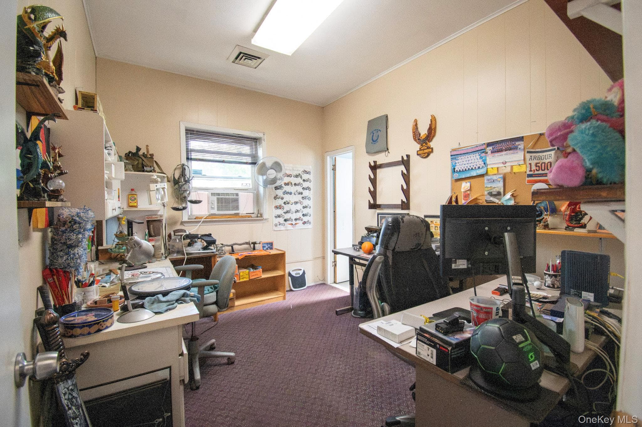 514 Merrick Road thumbnail 18