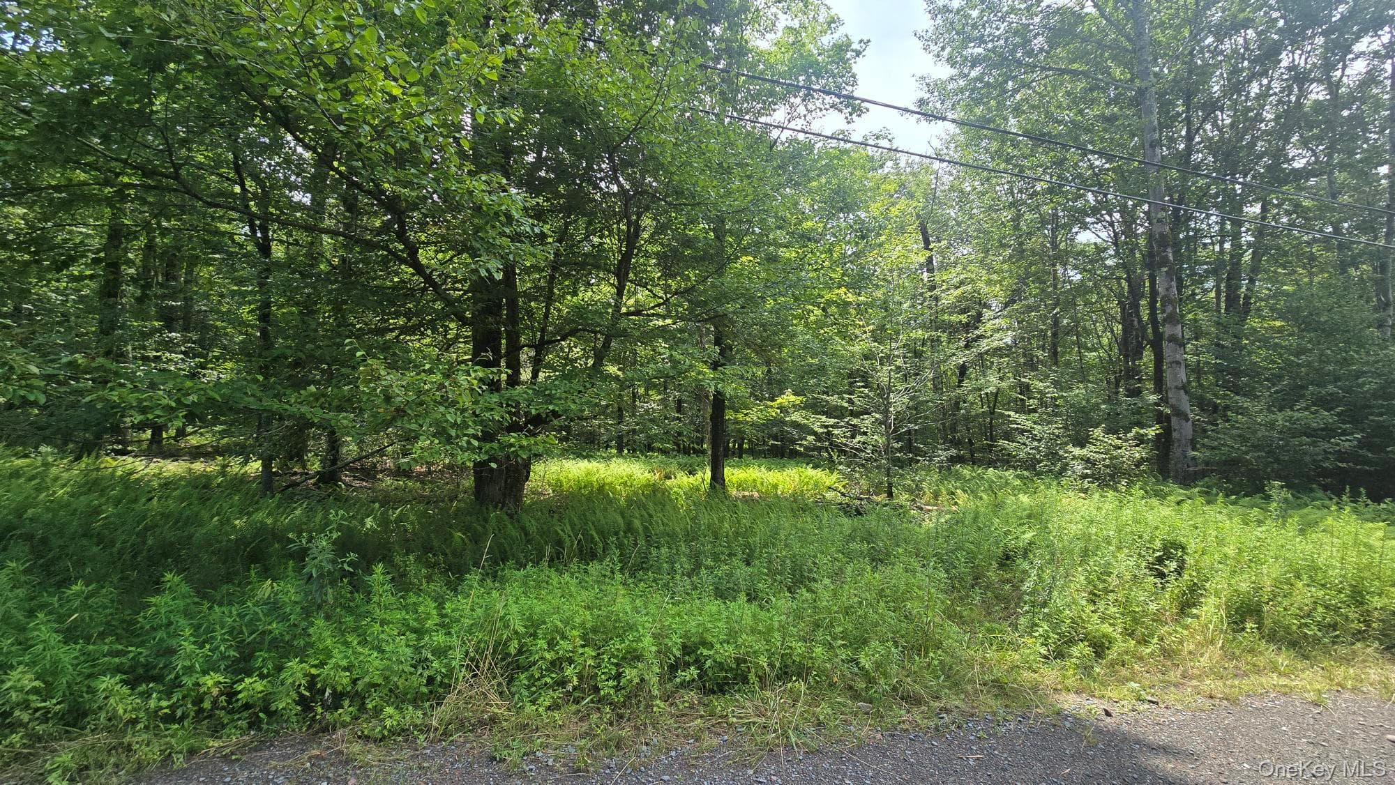 Knickerbocker Road thumbnail 4