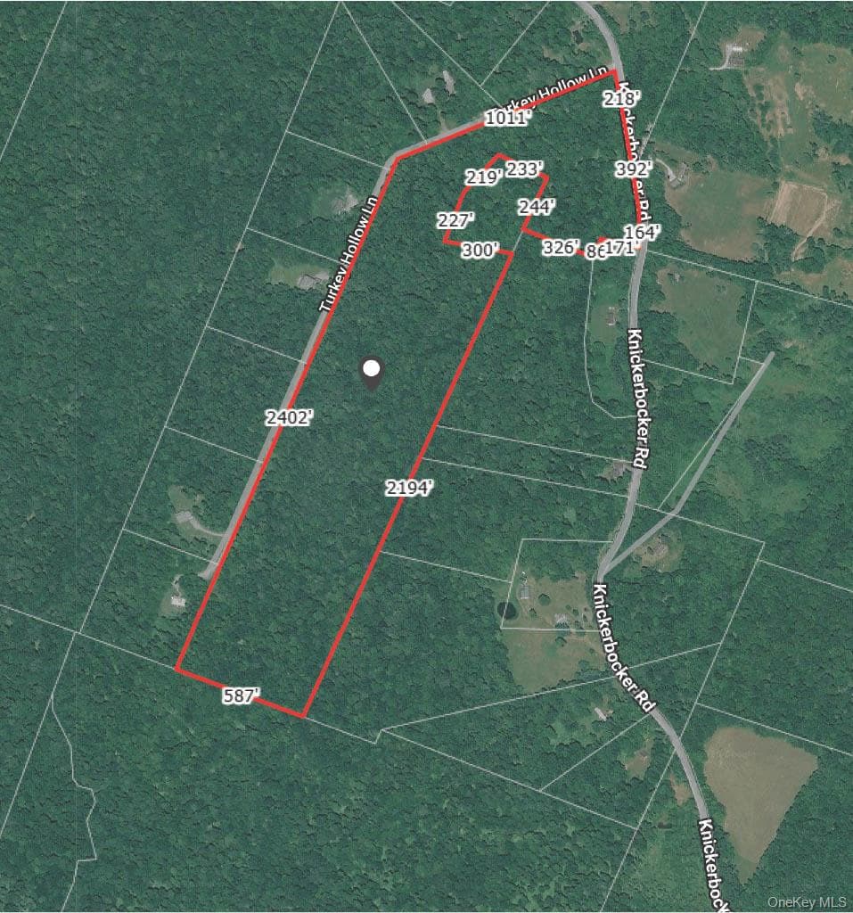 Knickerbocker Road, Livingston Manor