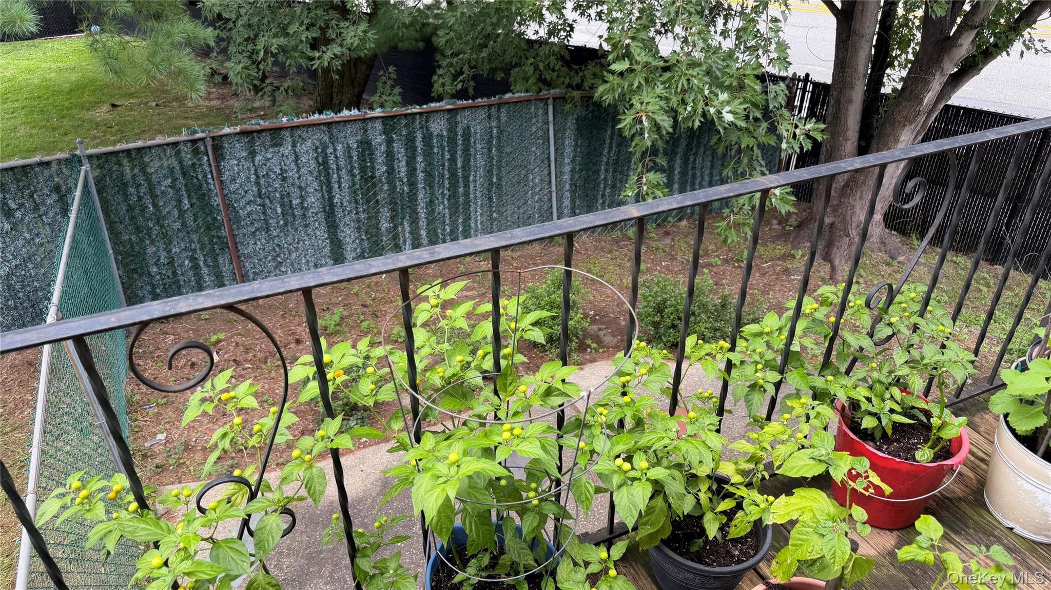 6275 Douglaston Parkway Unit: 11 thumbnail 14