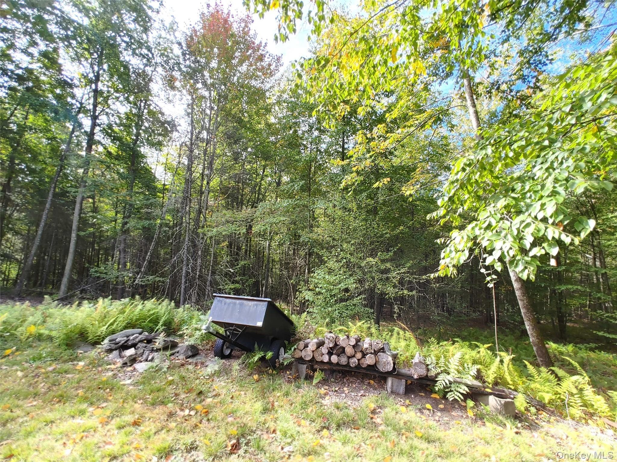 27 Warren Todd Subdivision Drive thumbnail 31