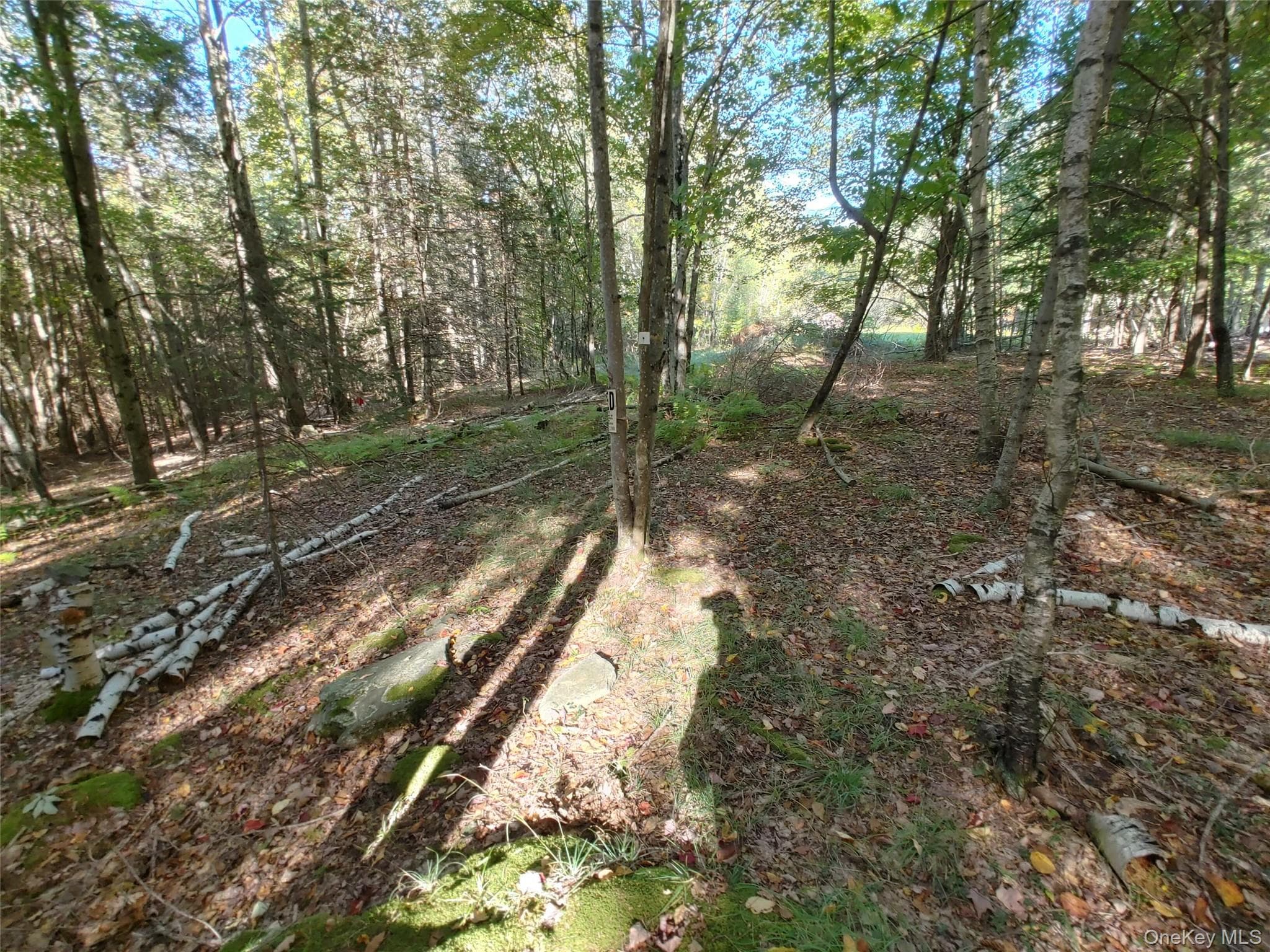 27 Warren Todd Subdivision Drive thumbnail 9