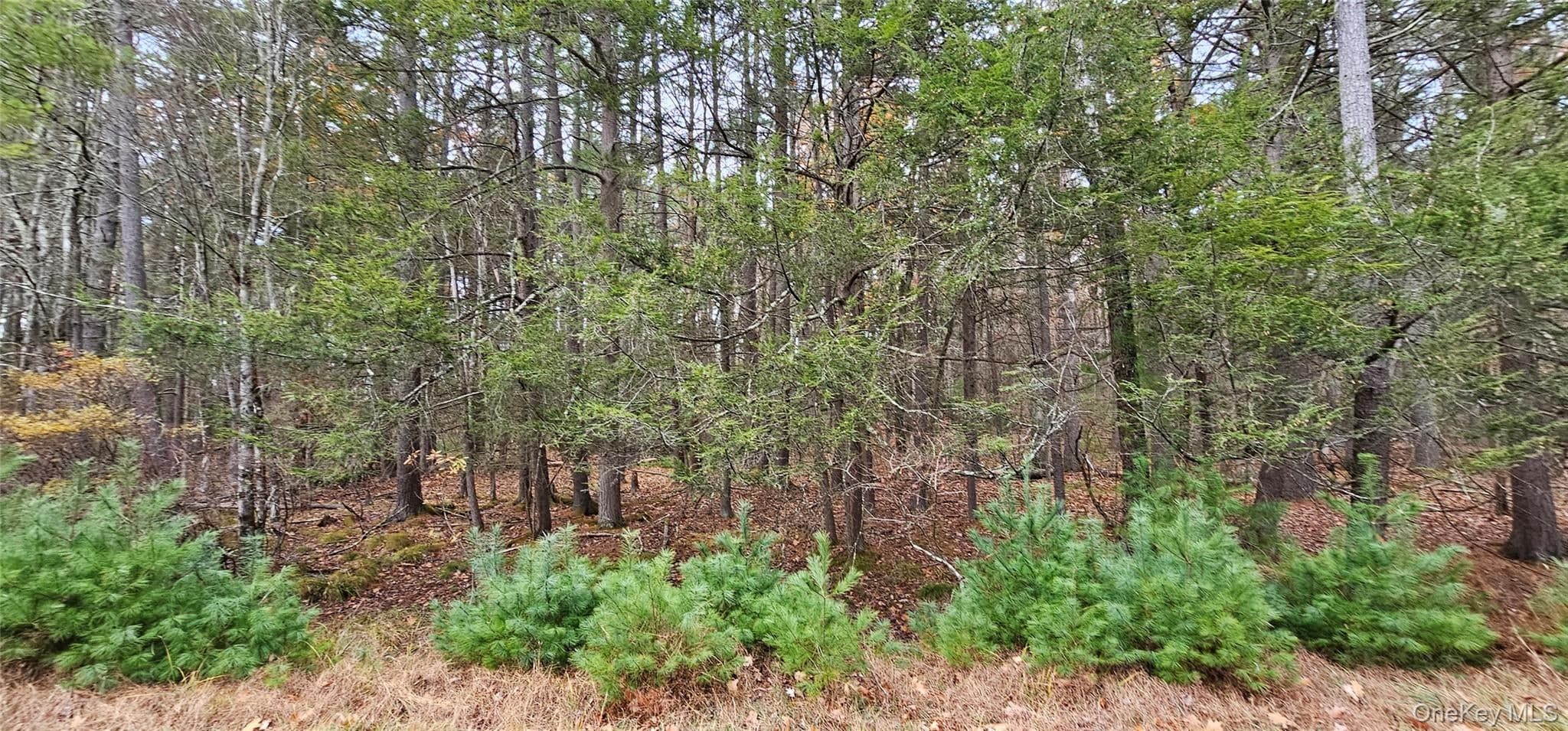 Lot 28 Summit Drive thumbnail 9