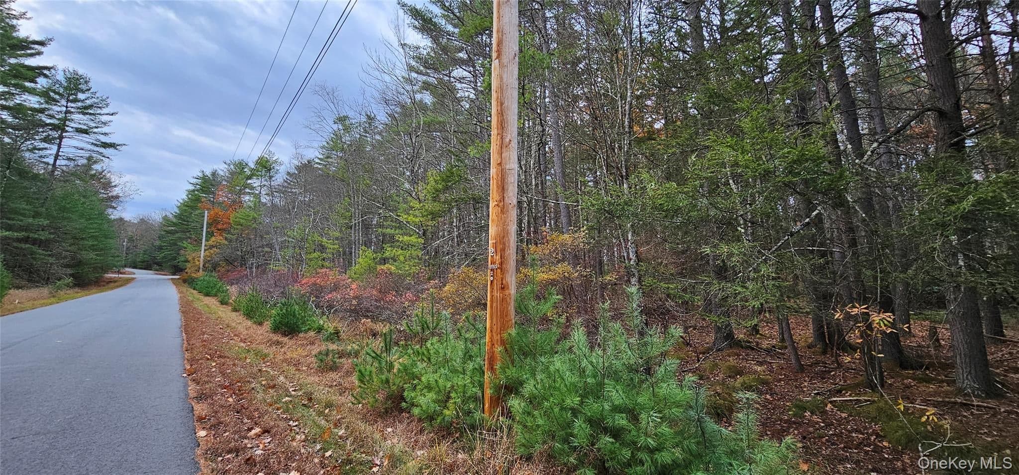 Lot 28 Summit Drive thumbnail 11