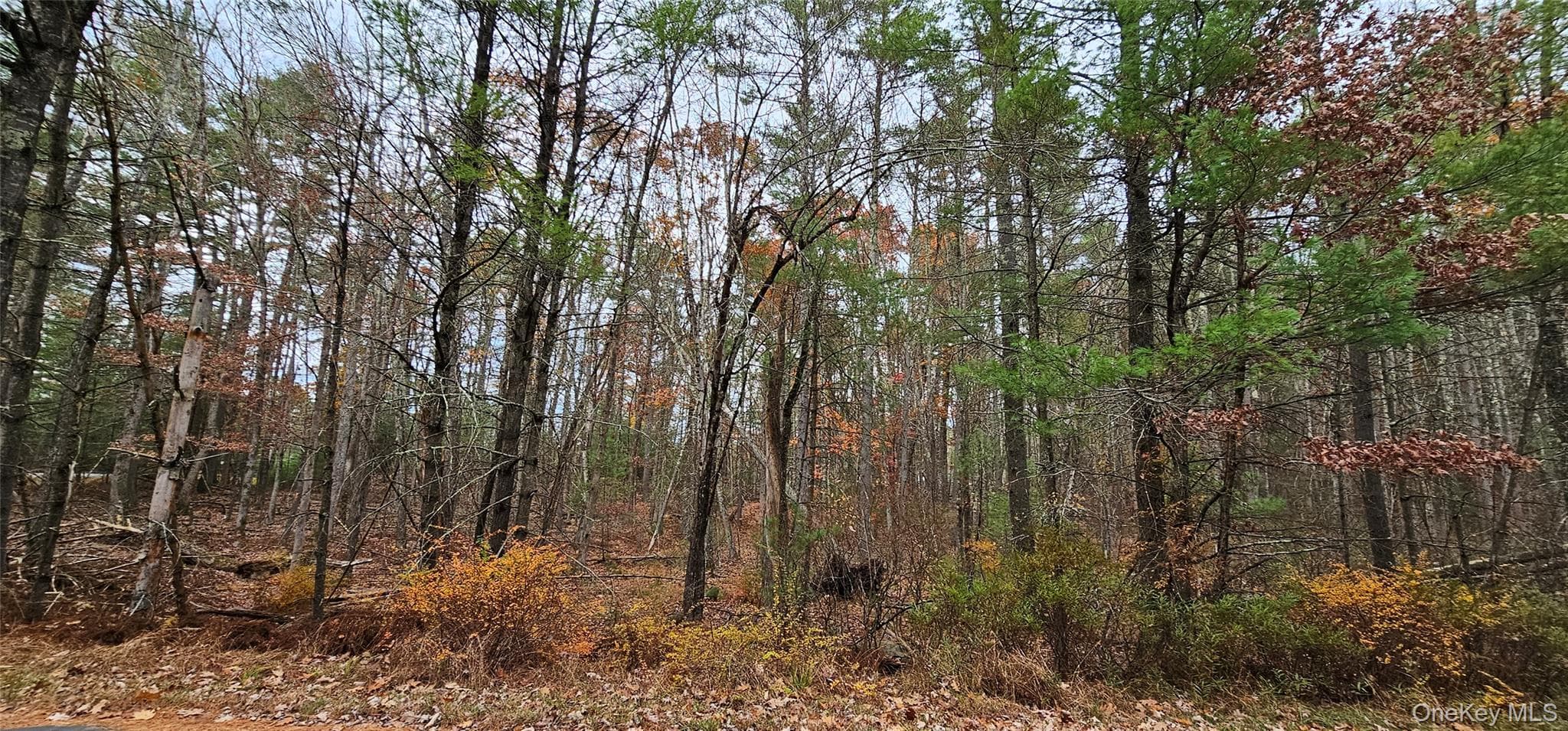 Lot 28 Summit Drive thumbnail 7