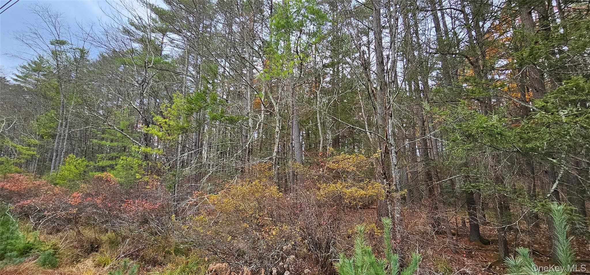 Lot 28 Summit Drive thumbnail 12