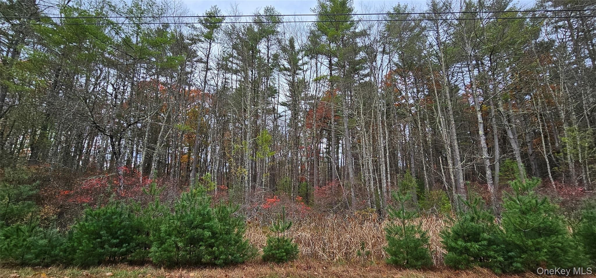 Lot 28 Summit Drive thumbnail 8