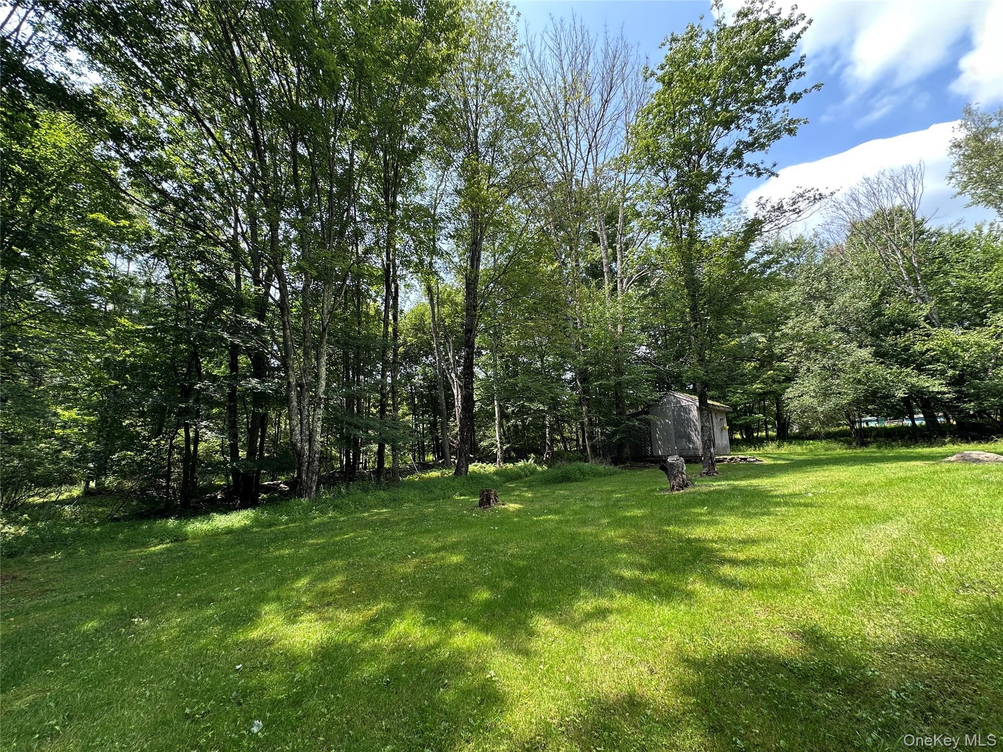 81 Lindholm Road thumbnail 25