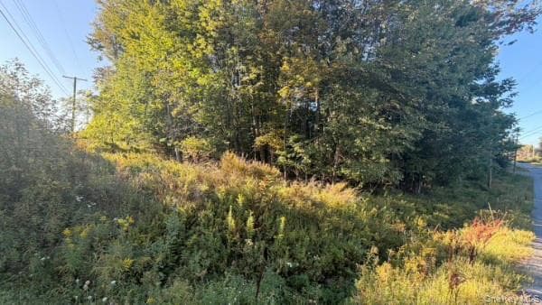 Highview Avenue thumbnail 5