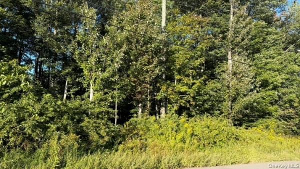 Highview Avenue thumbnail 8