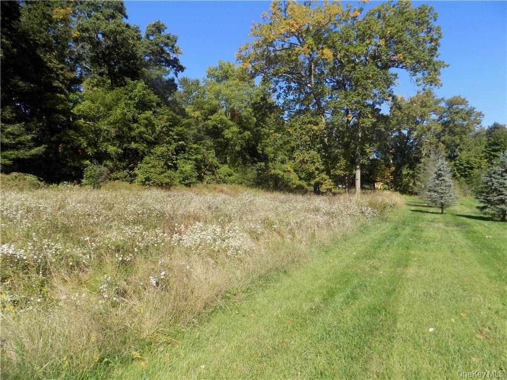 18 Dorland Avenue thumbnail 10