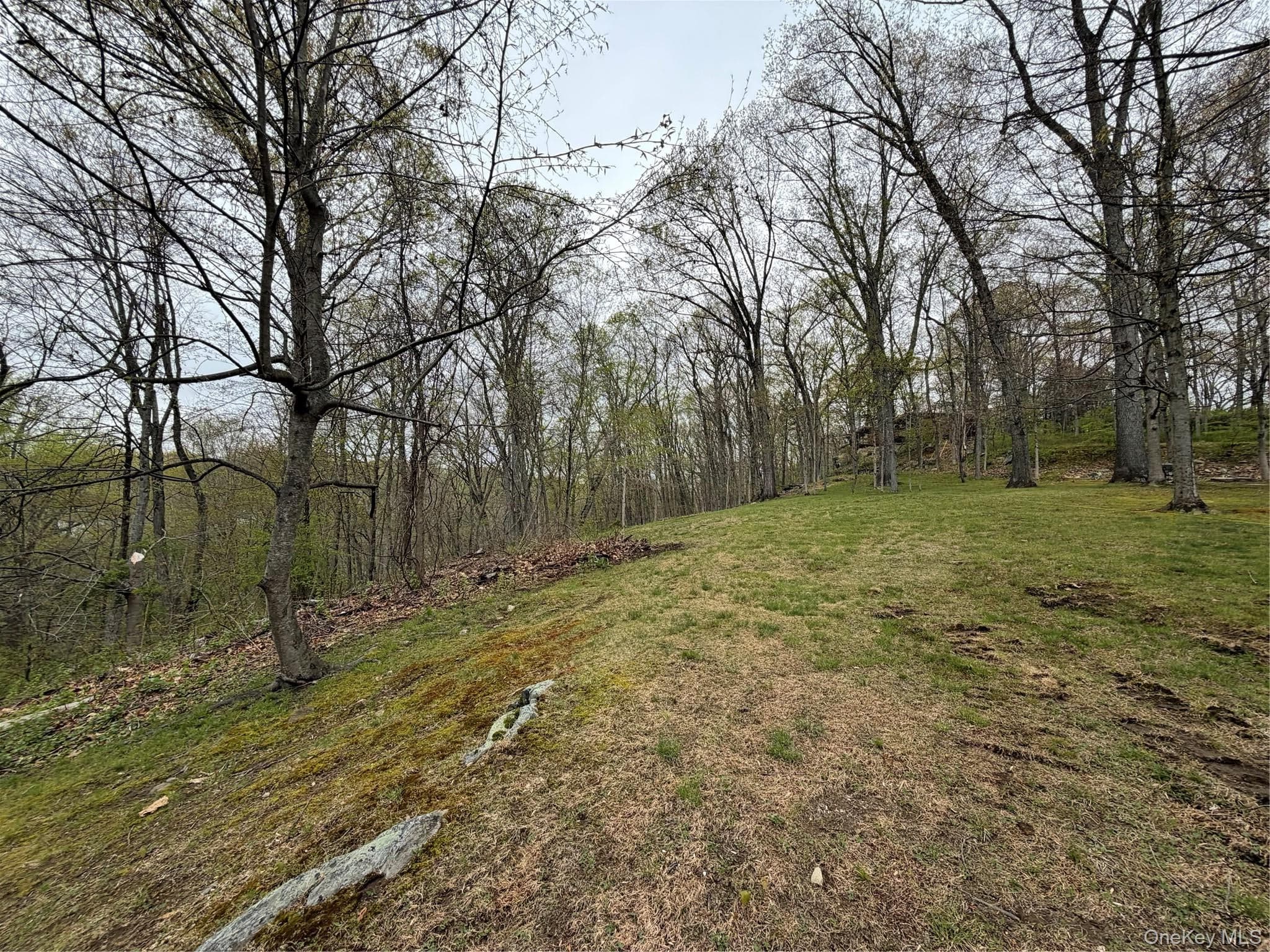 800 Sleepy Hollow Road thumbnail 11