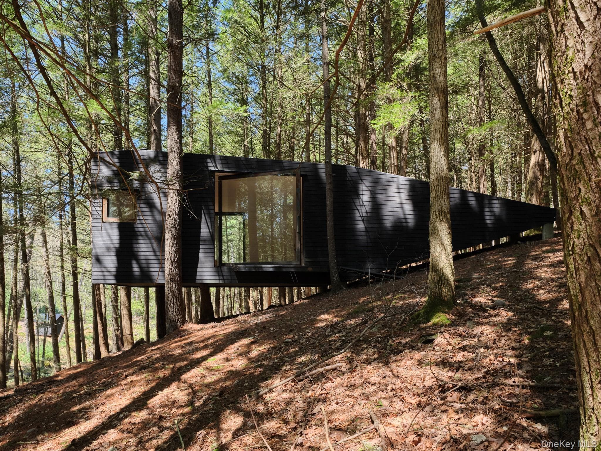 55 Woods Road thumbnail 43