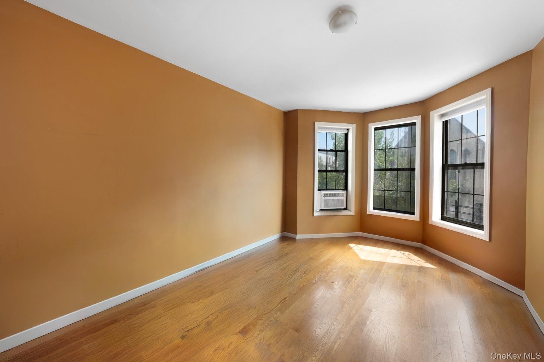 479 Bainbridge Street thumbnail 17