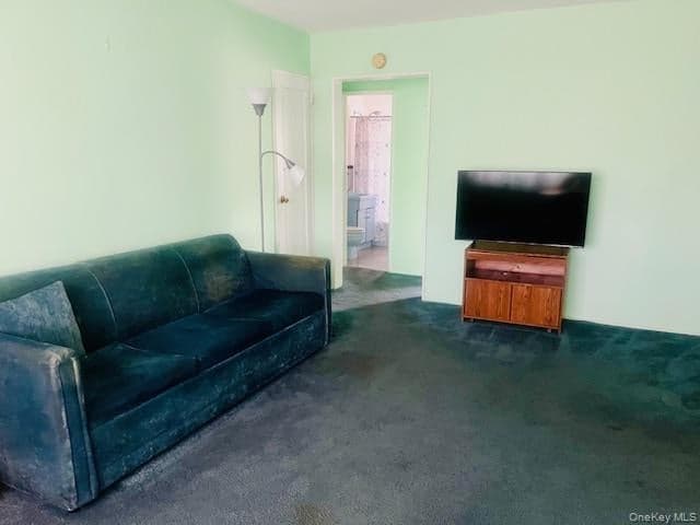 249-32 63rd Avenue Unit: 41227 thumbnail 11