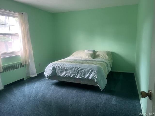 249-32 63rd Avenue Unit: 41227 thumbnail 13