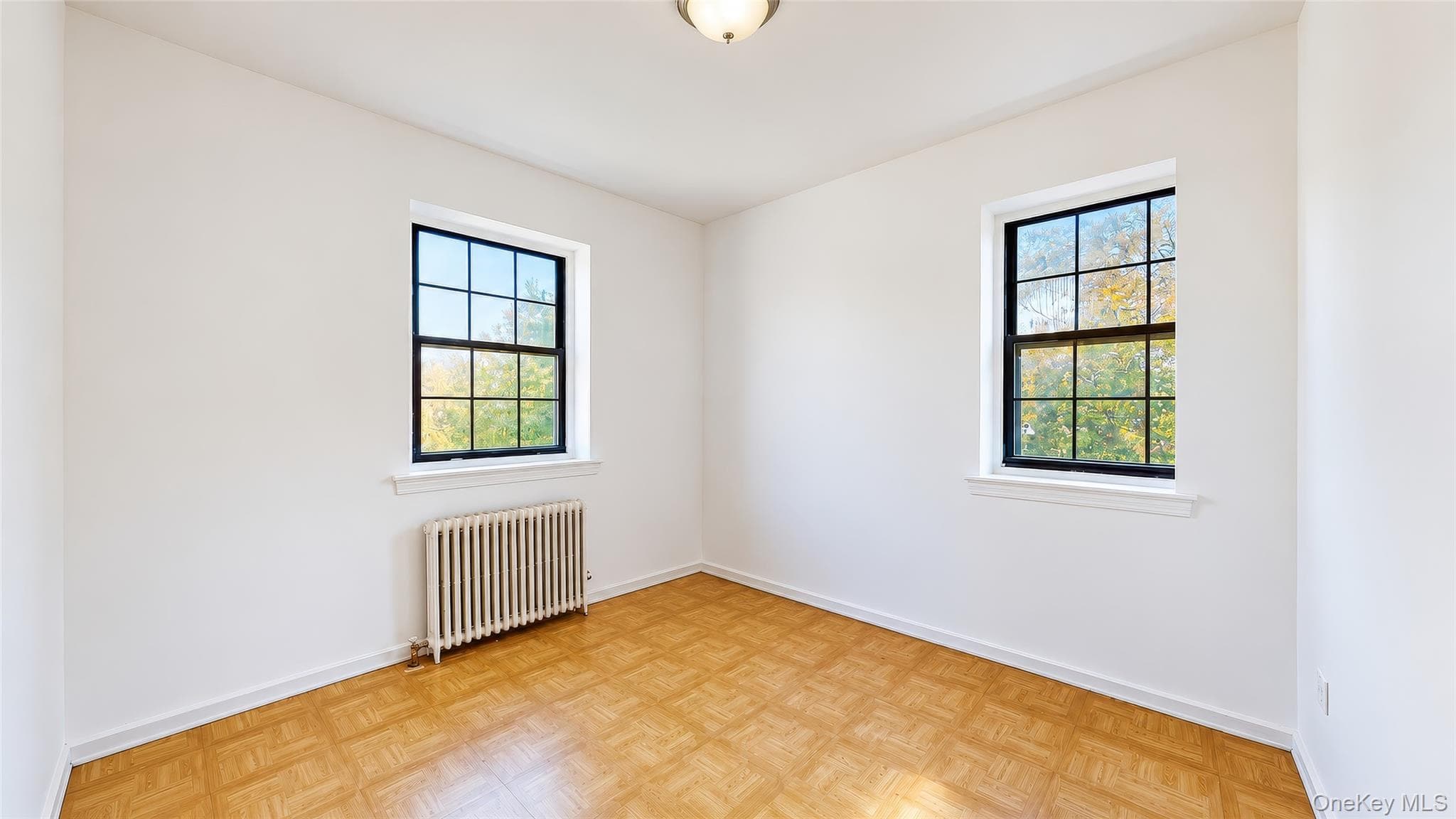 78-43 147th Street Unit: 3V thumbnail 20