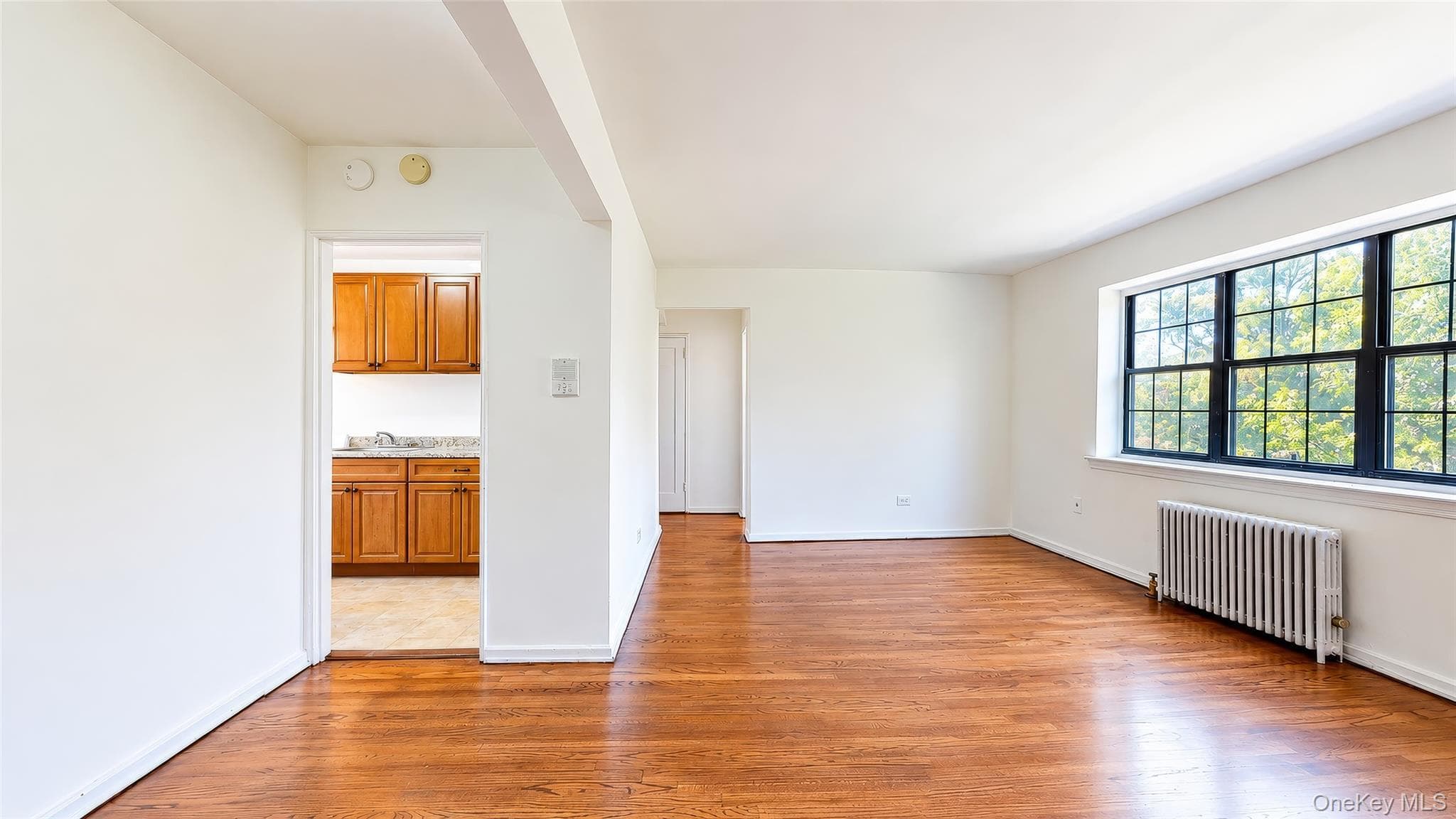 78-43 147th Street Unit: 3V thumbnail 2